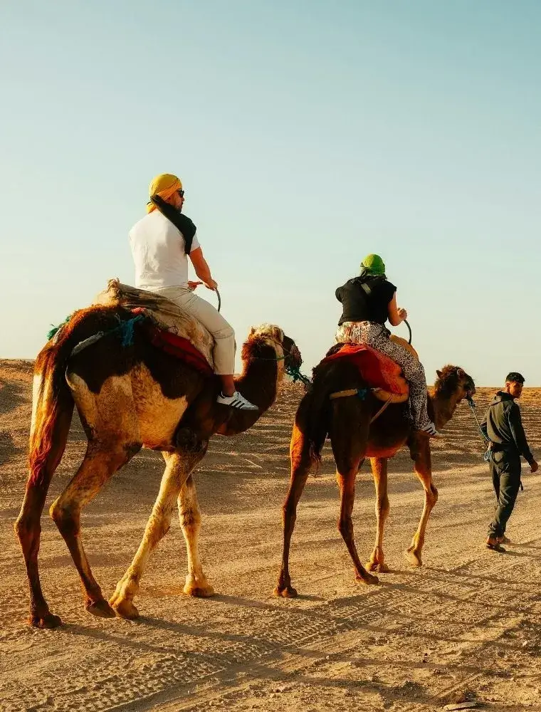 La balade à dos de chameau palmeraie de marrakech